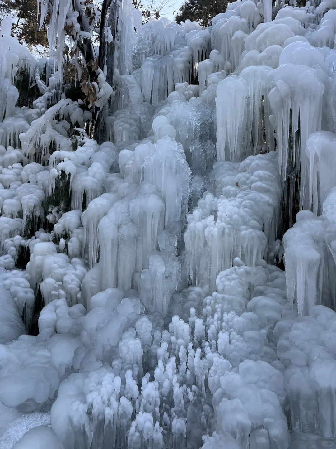 春节来龟蒙景区!被美哭了!!