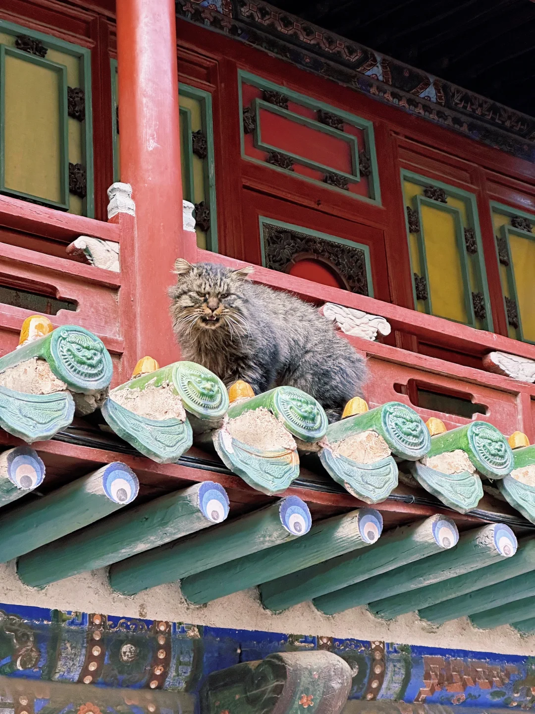 大同‼️1500年的传世古建⛰️再不看就没机会了