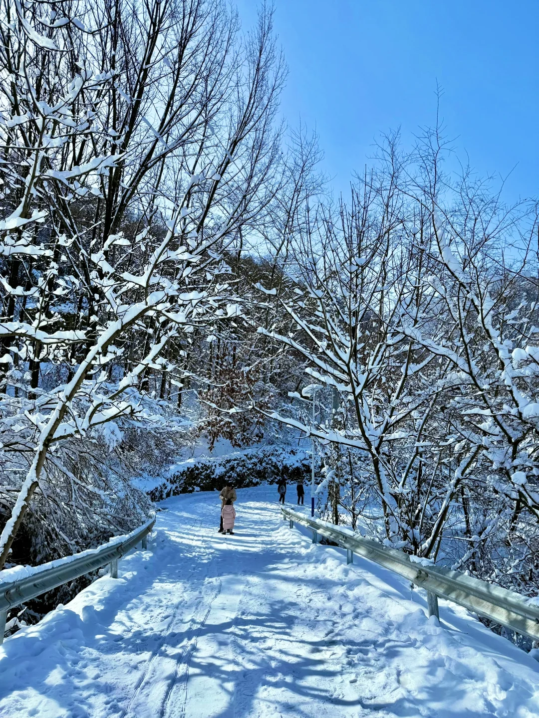 美到失语❗️西安0.5h直达阿勒泰，能免费滑雪