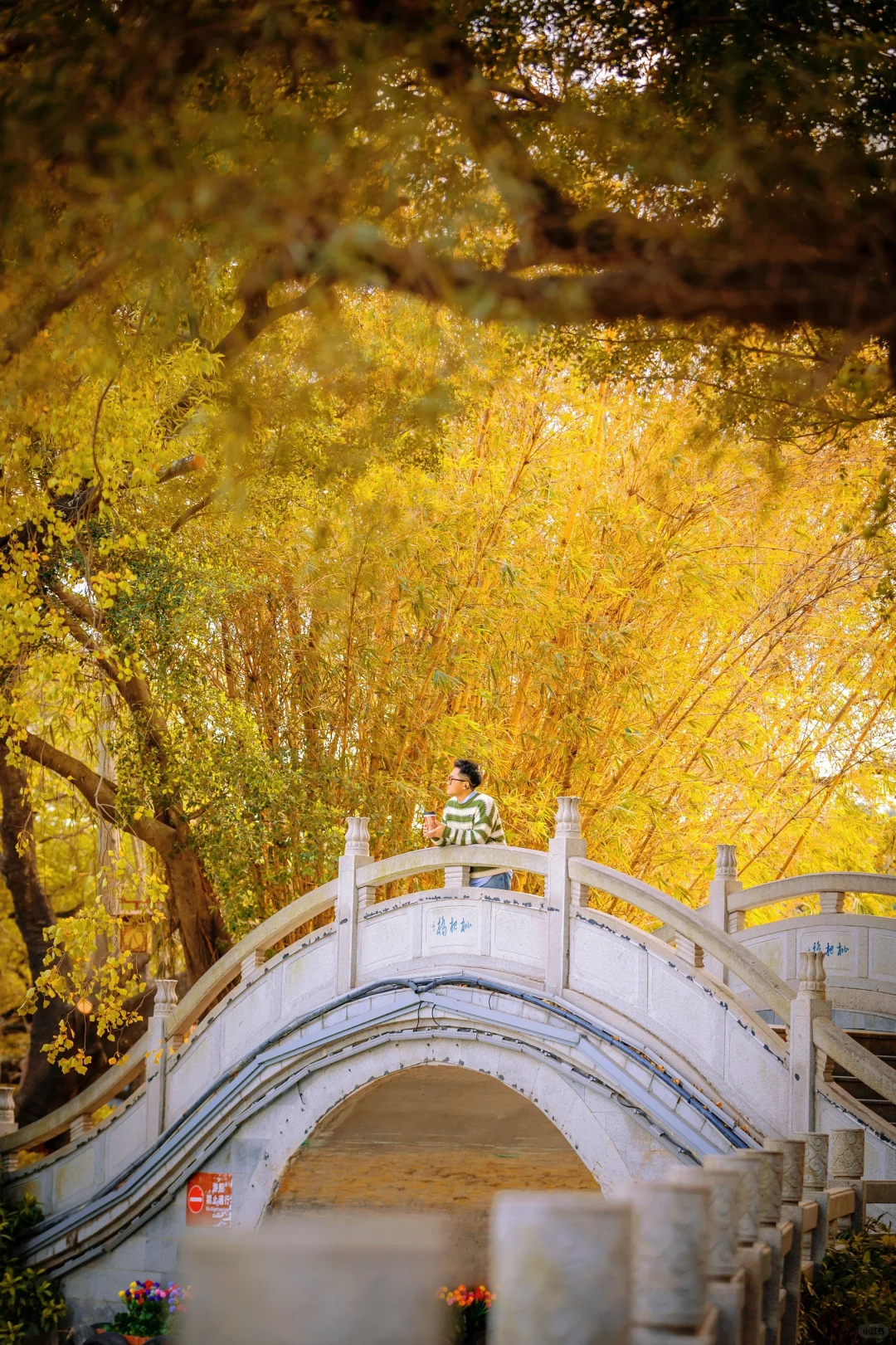 惠州｜春节citywalk别错过这些景点和花灯