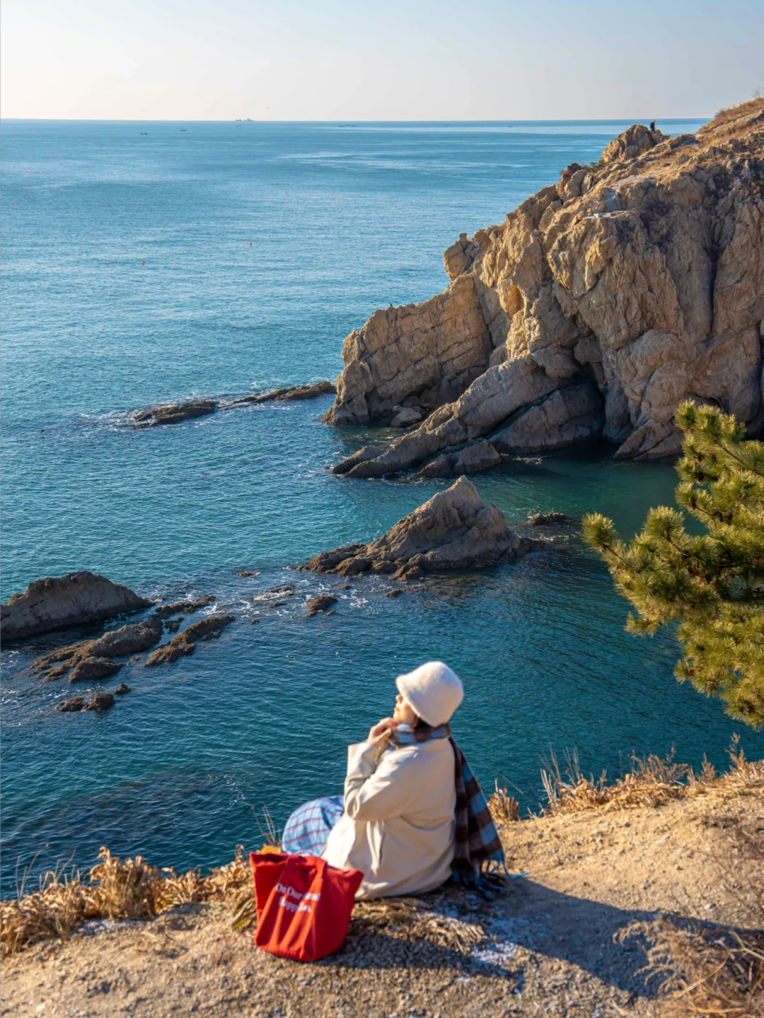 大连|春节反向旅游攻略🌊看这一篇就够了‼️