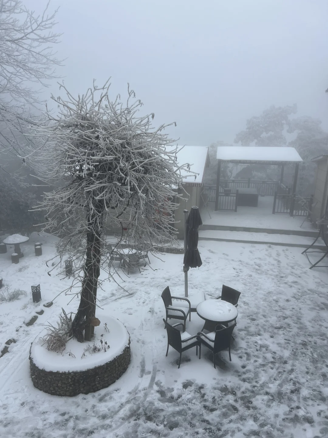 一到冬天❄️庐山就是掌管雪景的神👺【1.26】