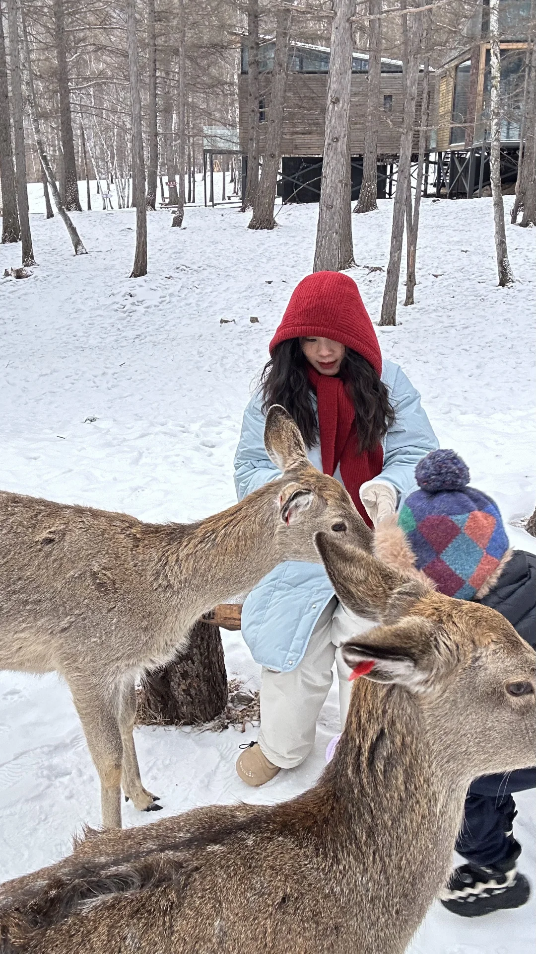 祖国的大好河山