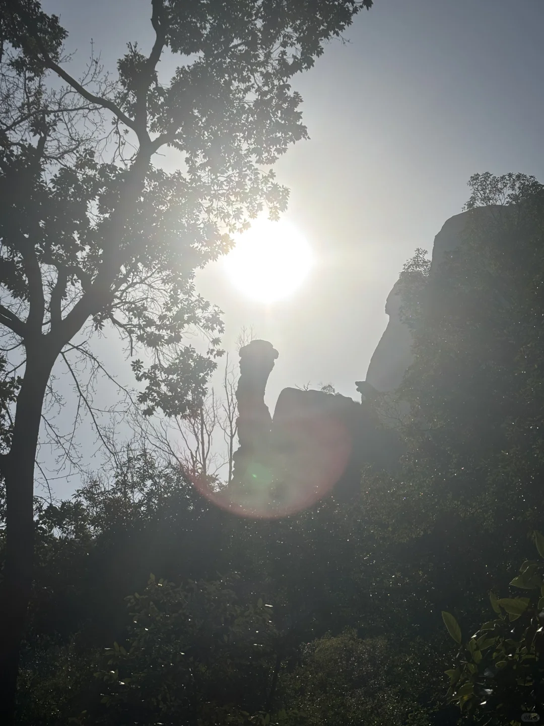 丹霞地貌-弋阳龟峰