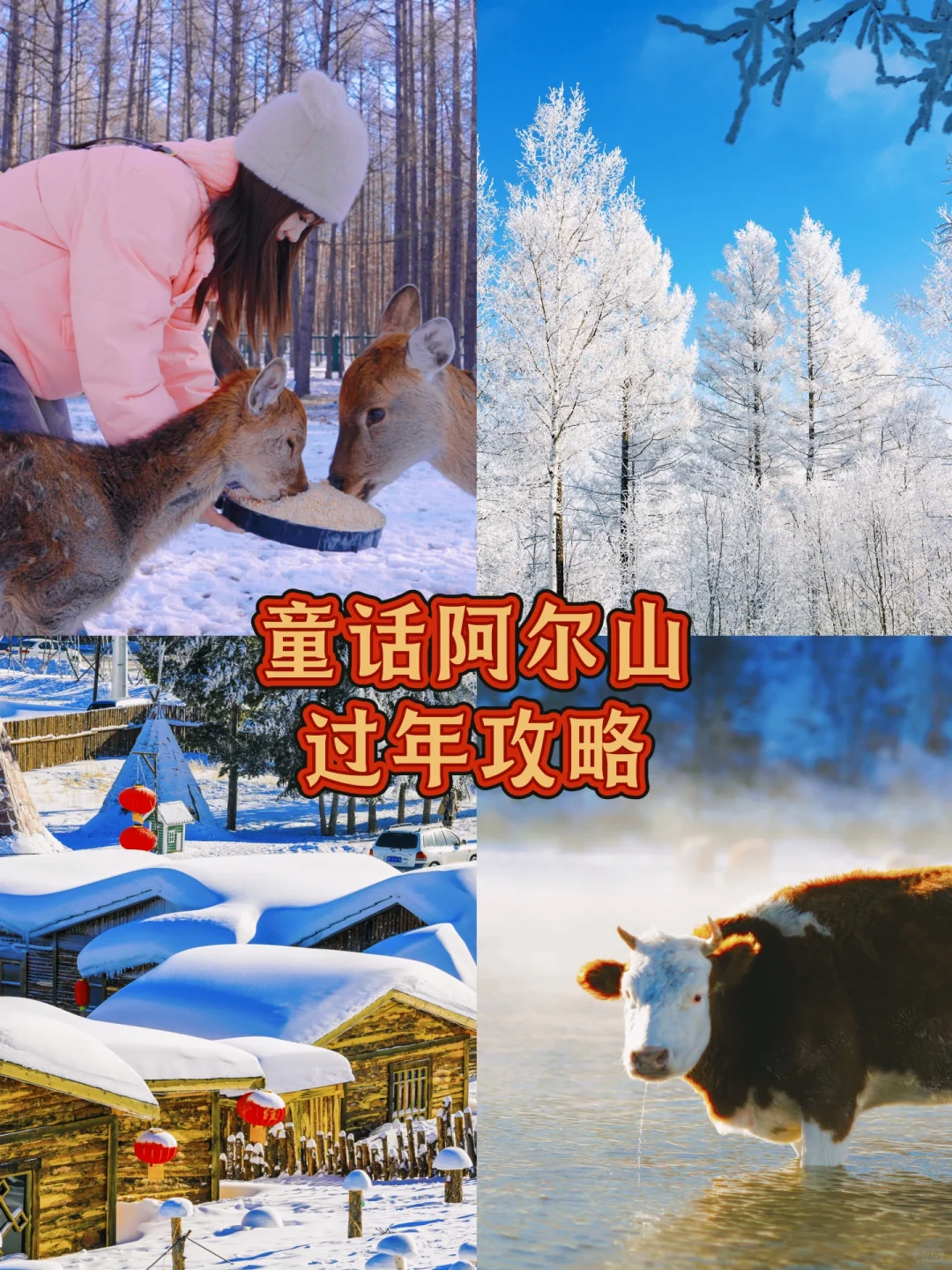 🫅童话阿尔山 |过年小众旅行地🧨