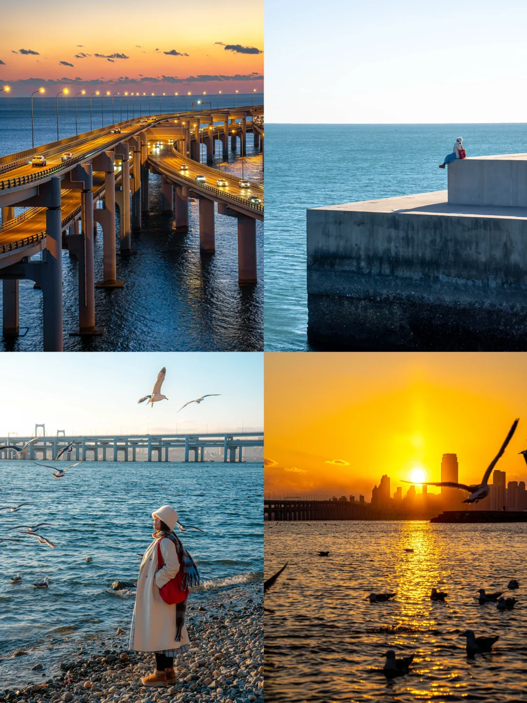 大连|春节反向旅游攻略🌊看这一篇就够了‼️