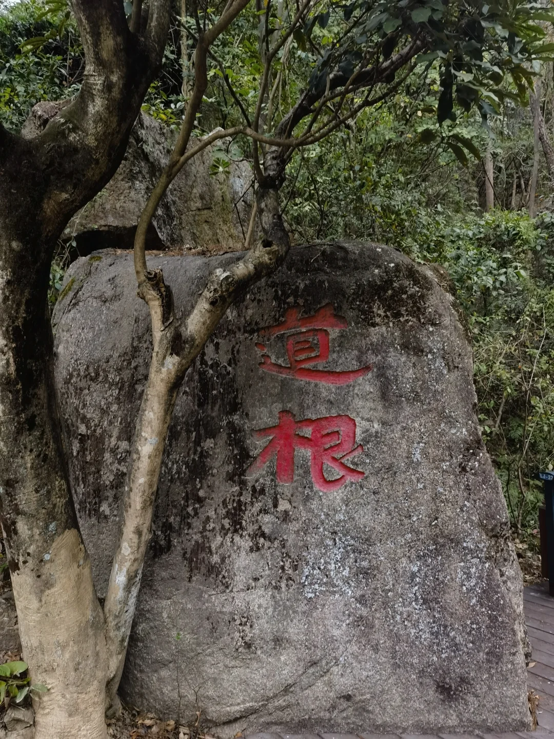 清源山I5A景区免门票是真香👌