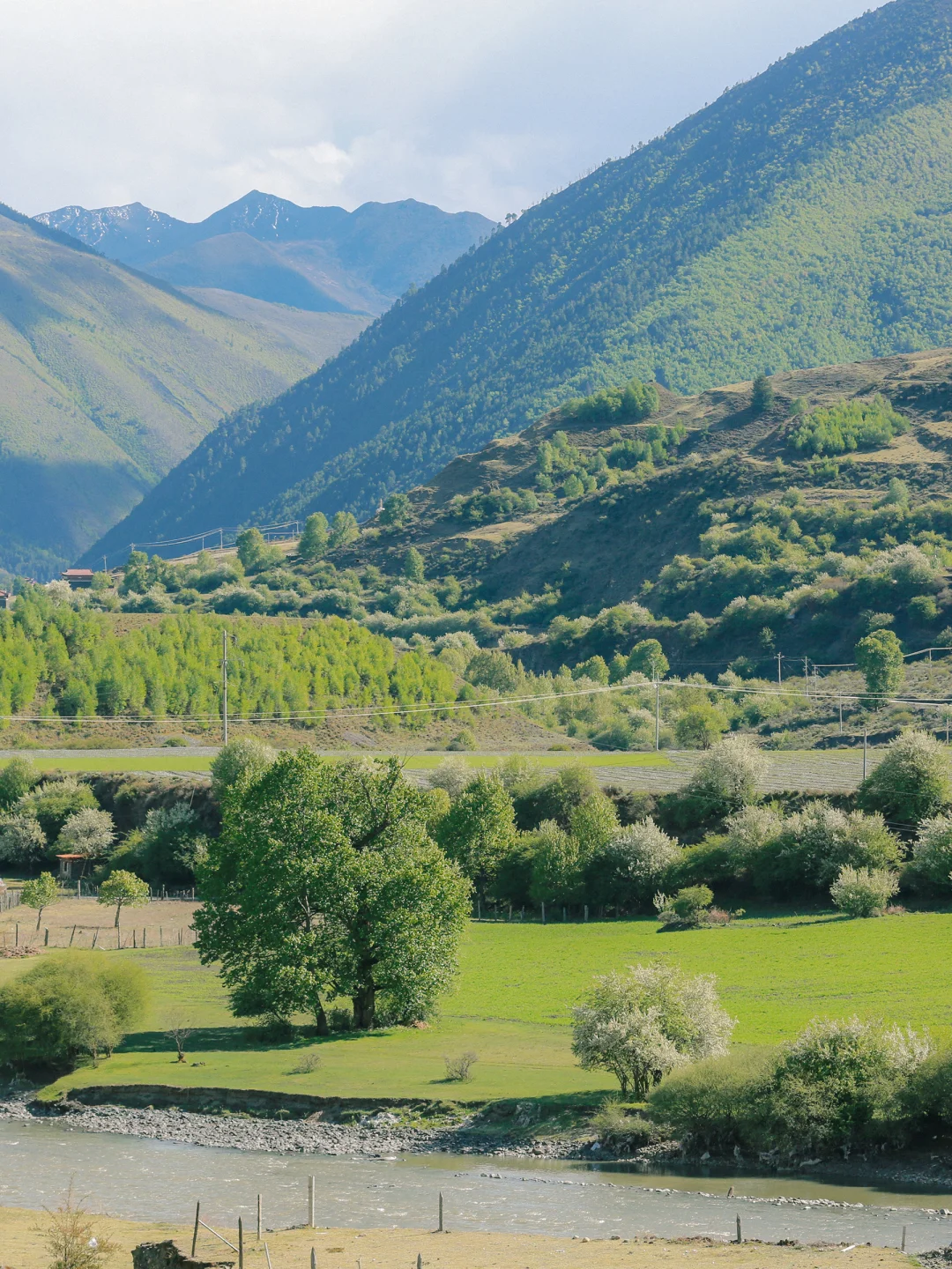 real China! Chinese outdoor life