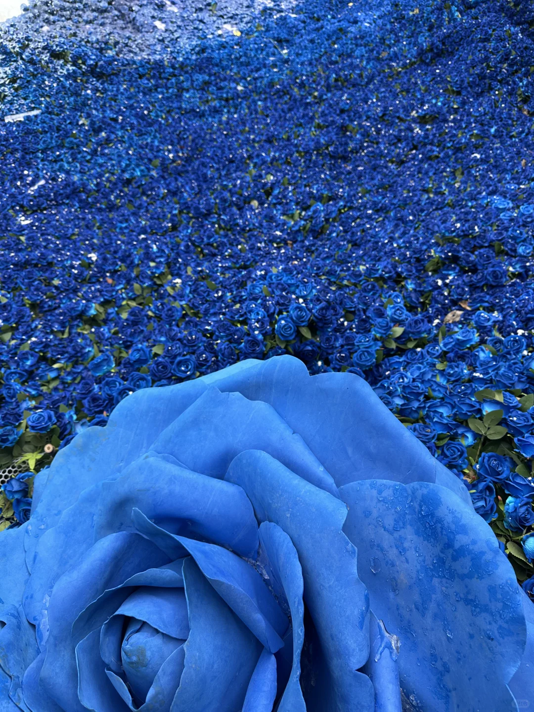 1.18云台山实拍现状❄️附懒人攻略和住宿体验