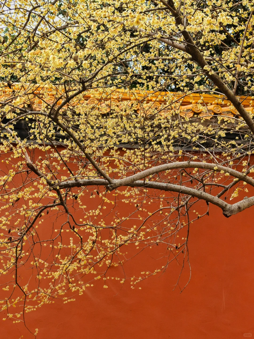 我夸南京一万遍,不及你亲自来看一眼 附攻略