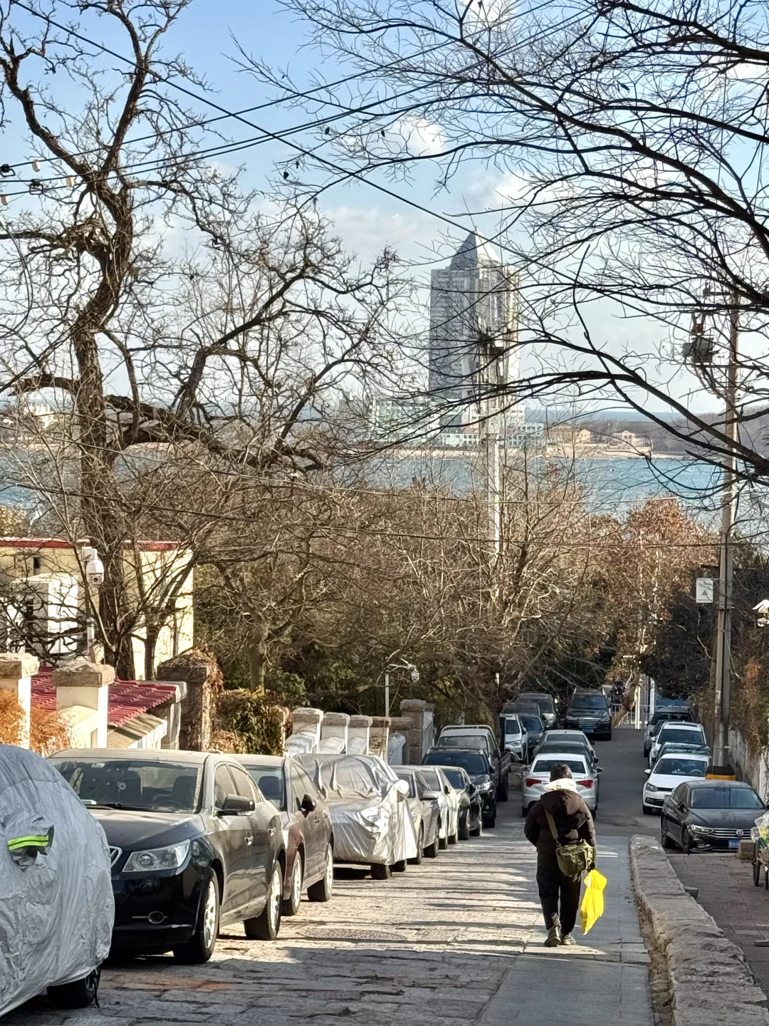 青岛1月16日现状！反向旅游真的劝退不了一点