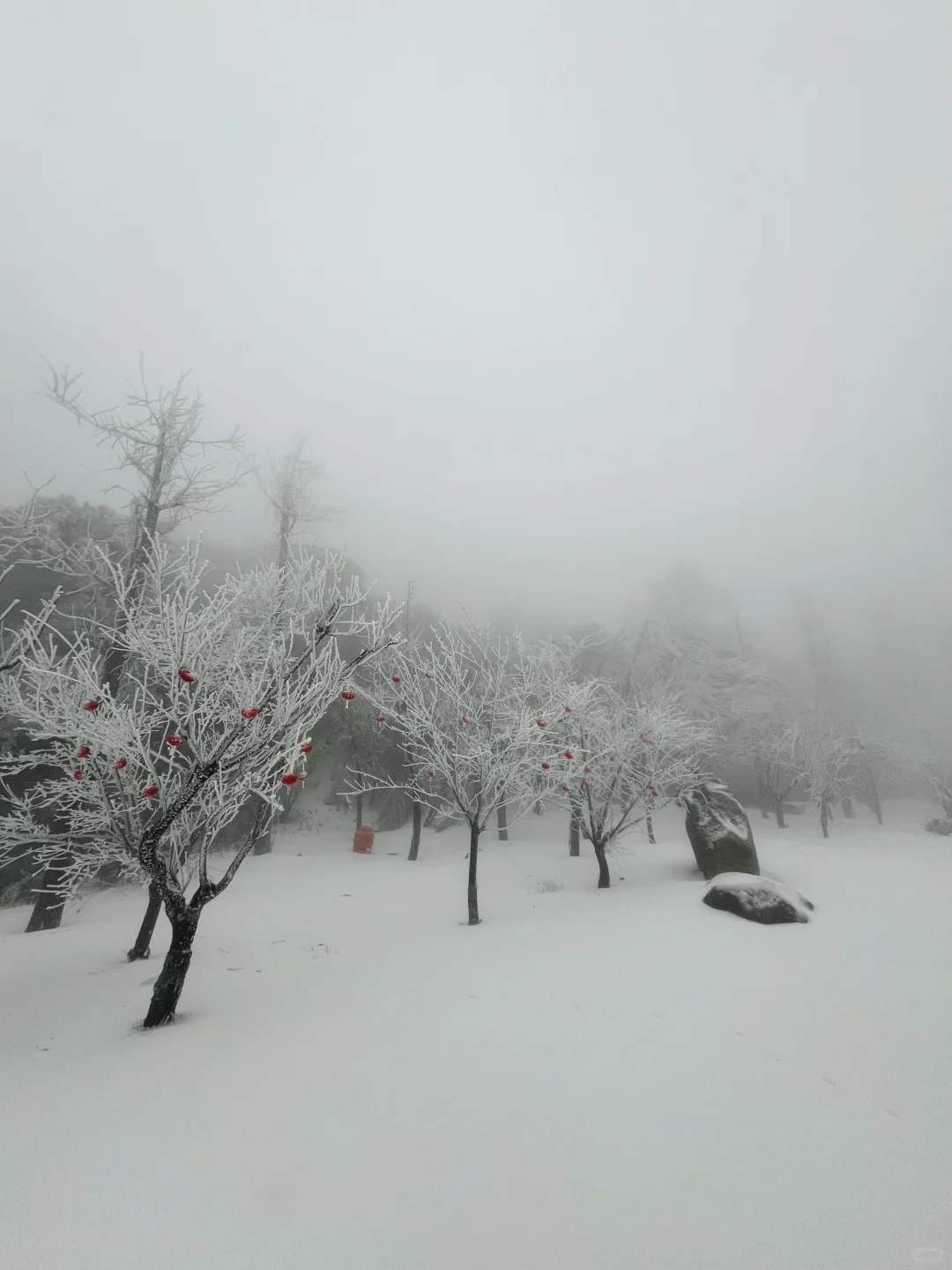 01.26庐山实况|今天下大雪啦|白雪皑皑!!!