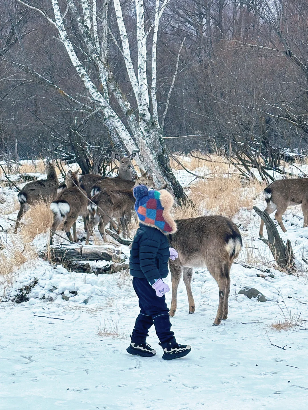 祖国的大好河山