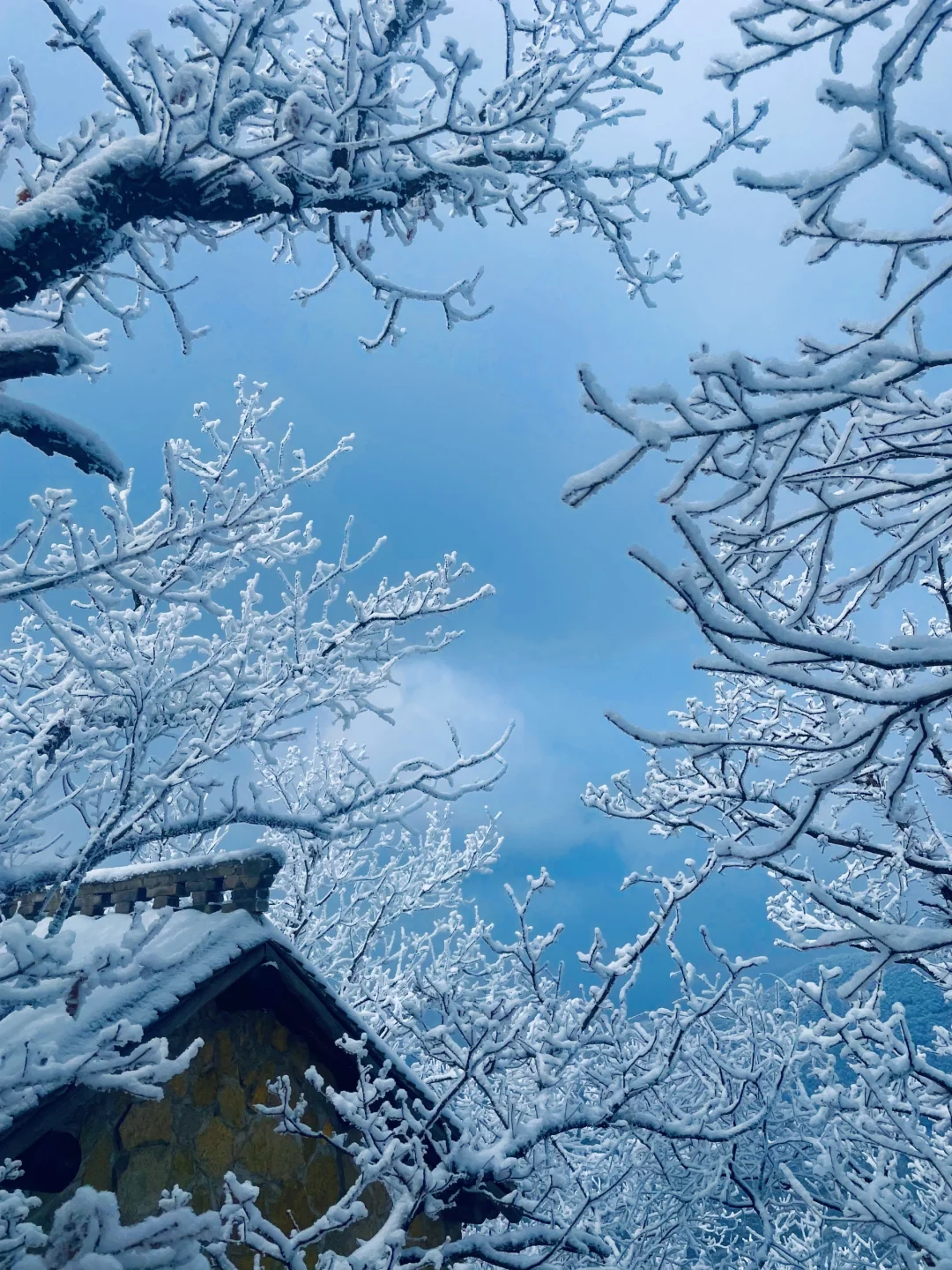 距离西安1.5小时,这里过年居然这么好玩