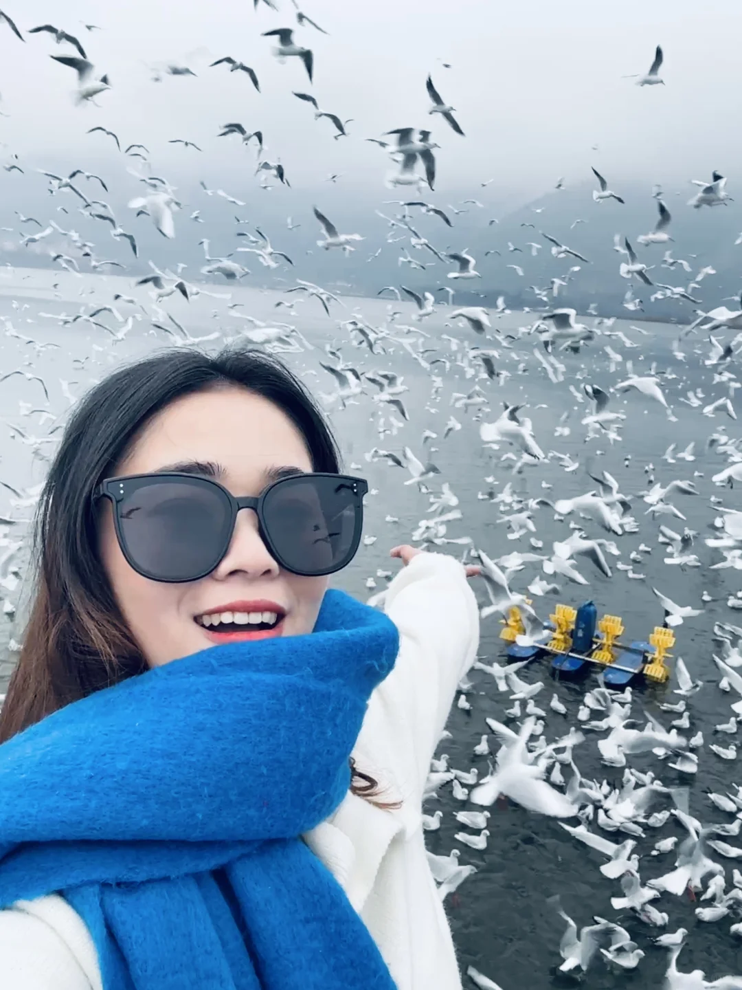 2025年的第一站，来赴约西伯利亚的海鸥💙