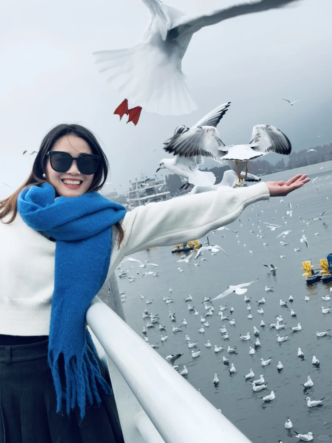 2025年的第一站，来赴约西伯利亚的海鸥💙