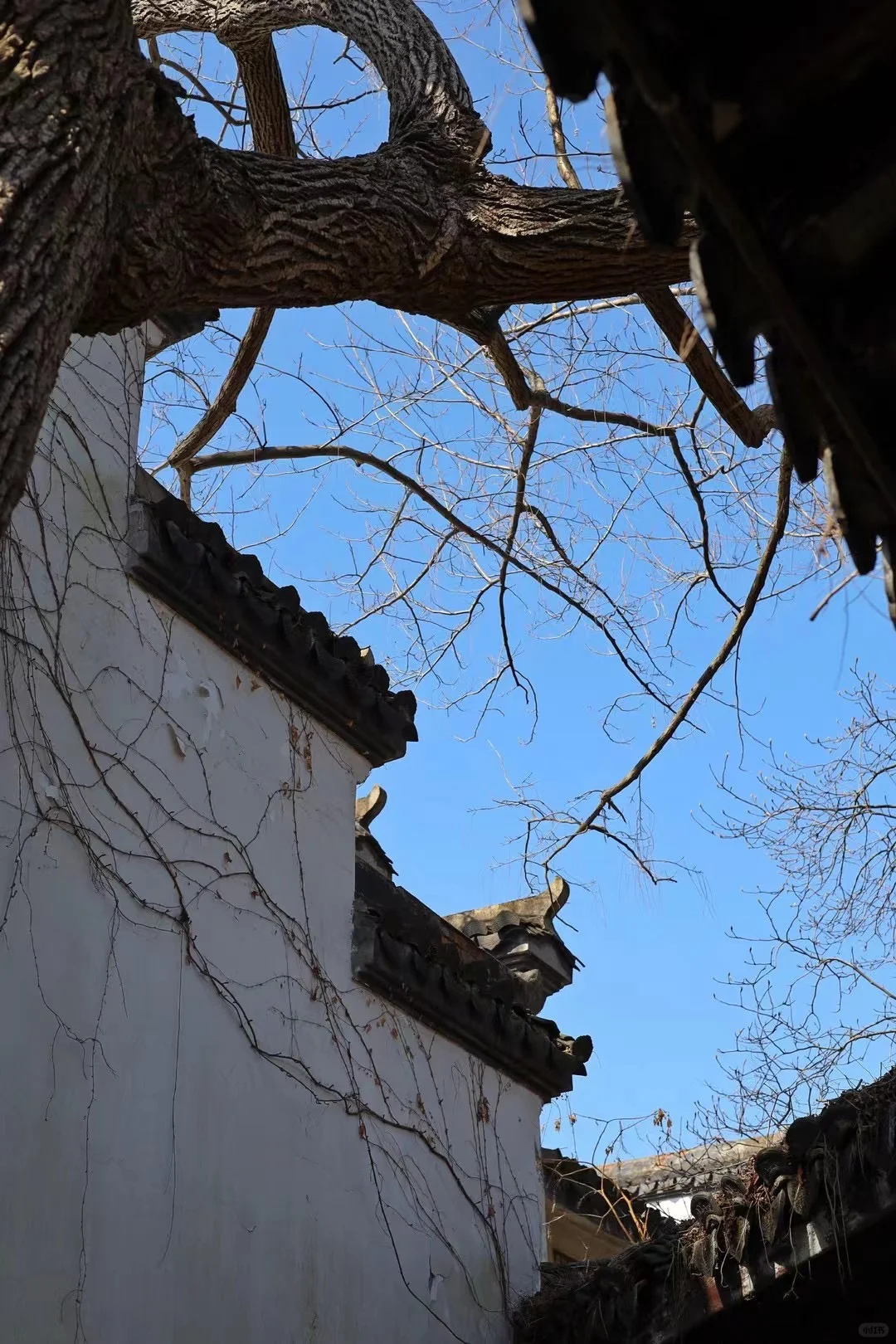 衢州 真的太出片了！快get✔️