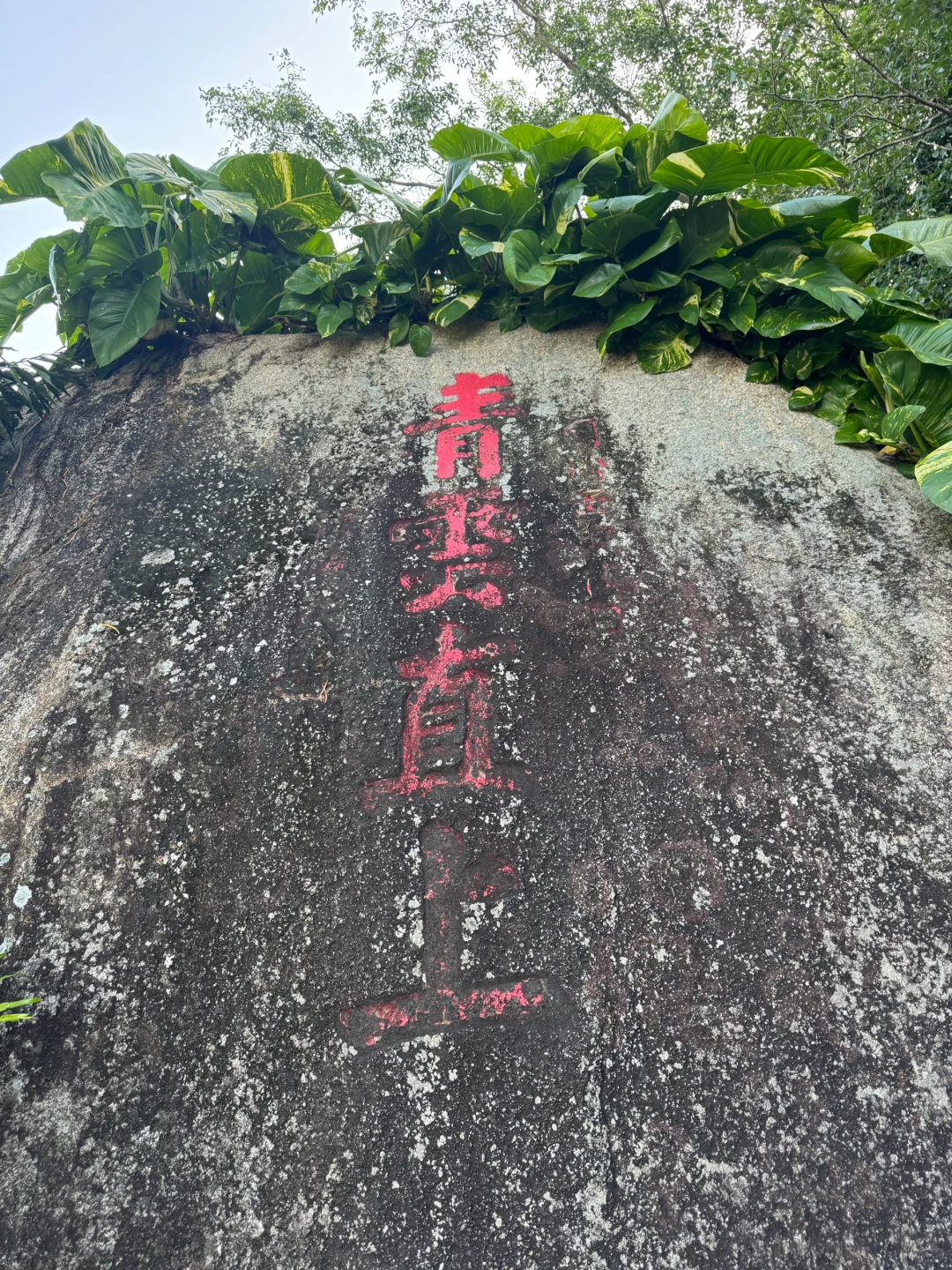 初一登高祈福｜海南万宁东山岭