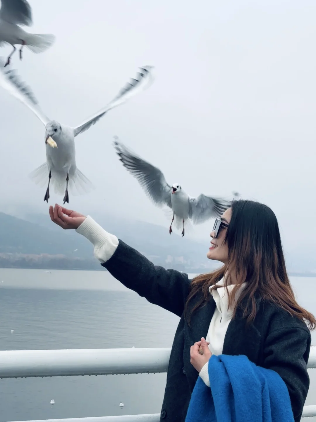 2025年的第一站，来赴约西伯利亚的海鸥💙