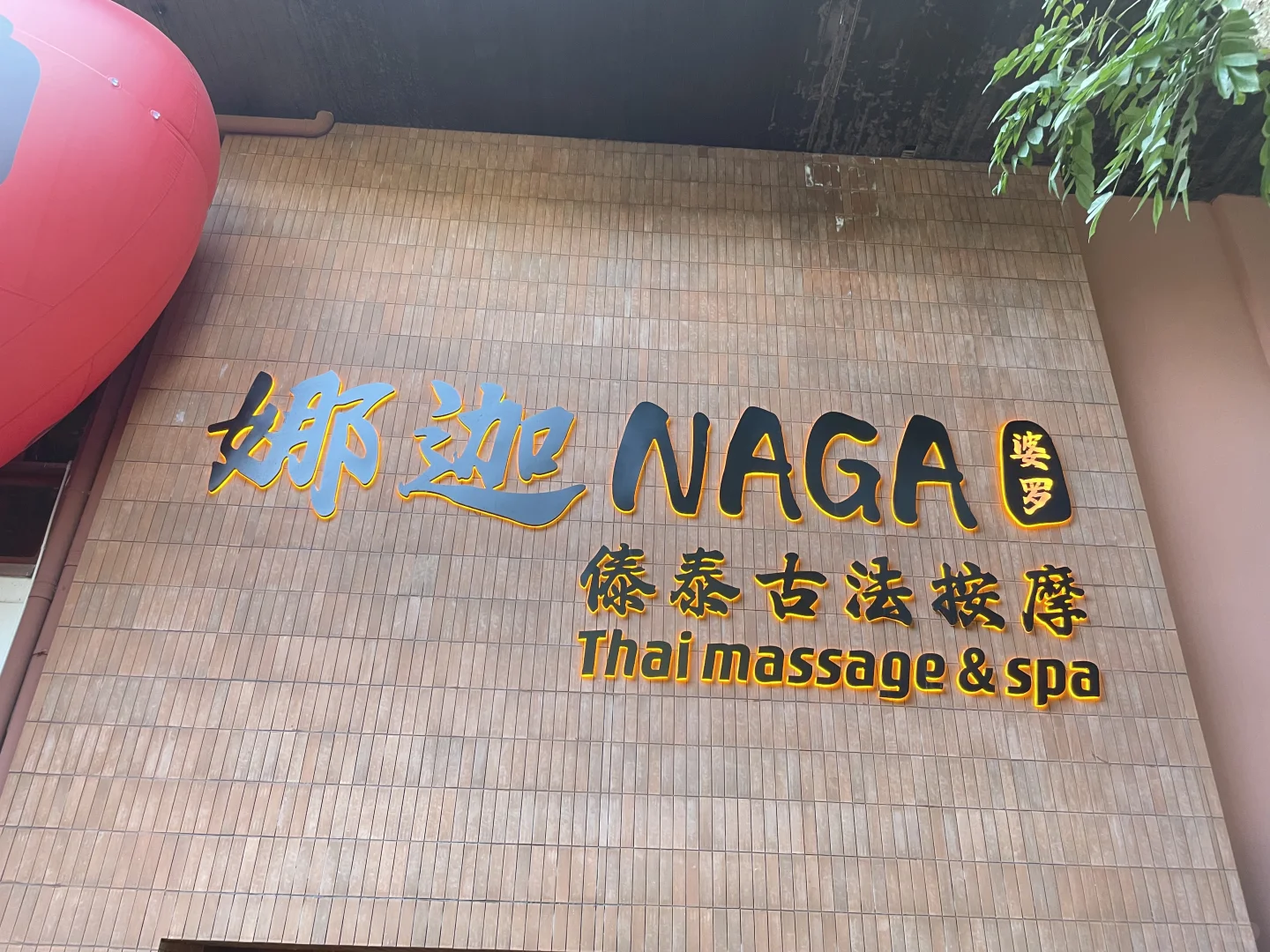 西双版纳🌴悠闲三日游攻略