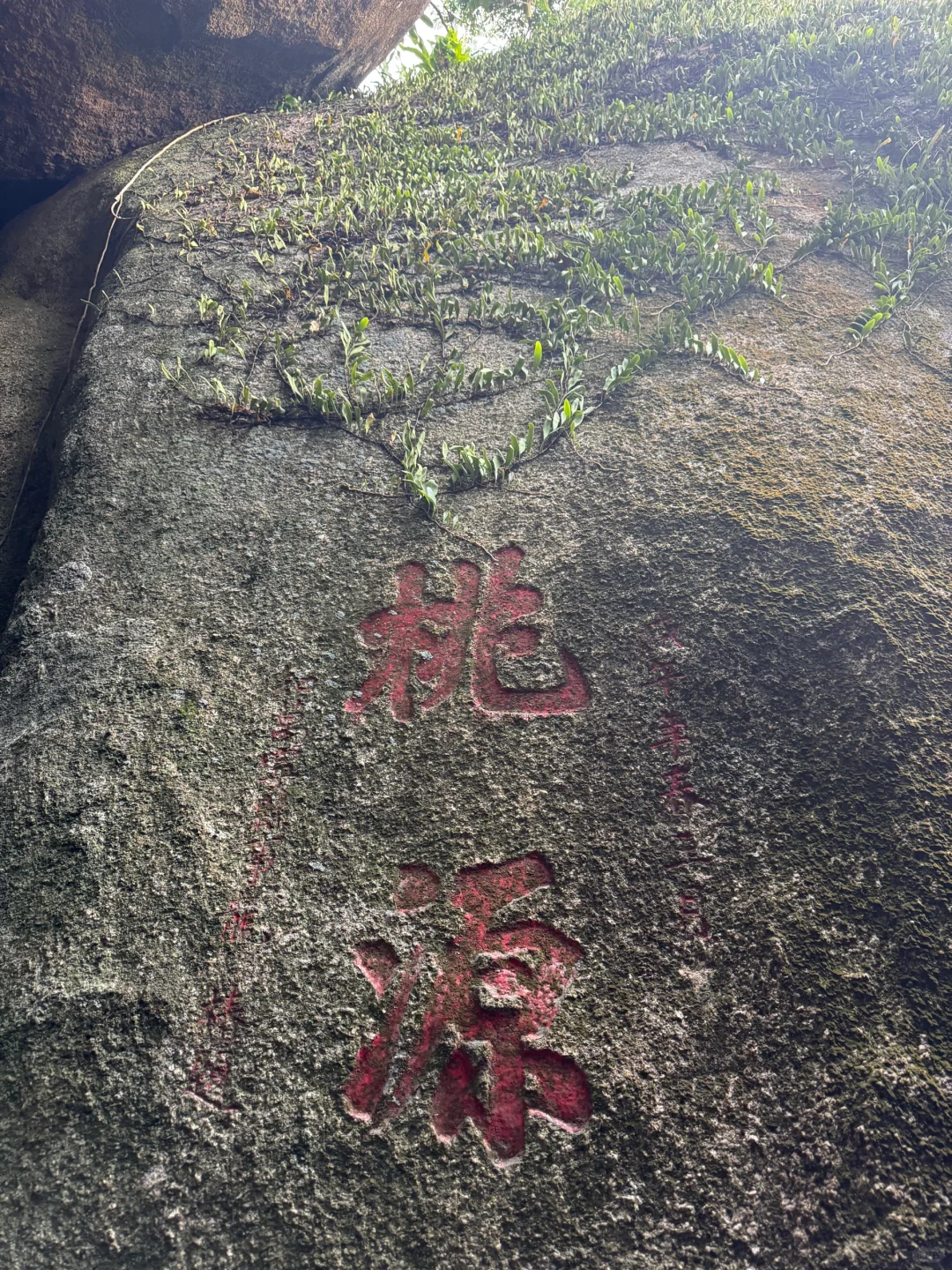 初一登高祈福｜海南万宁东山岭