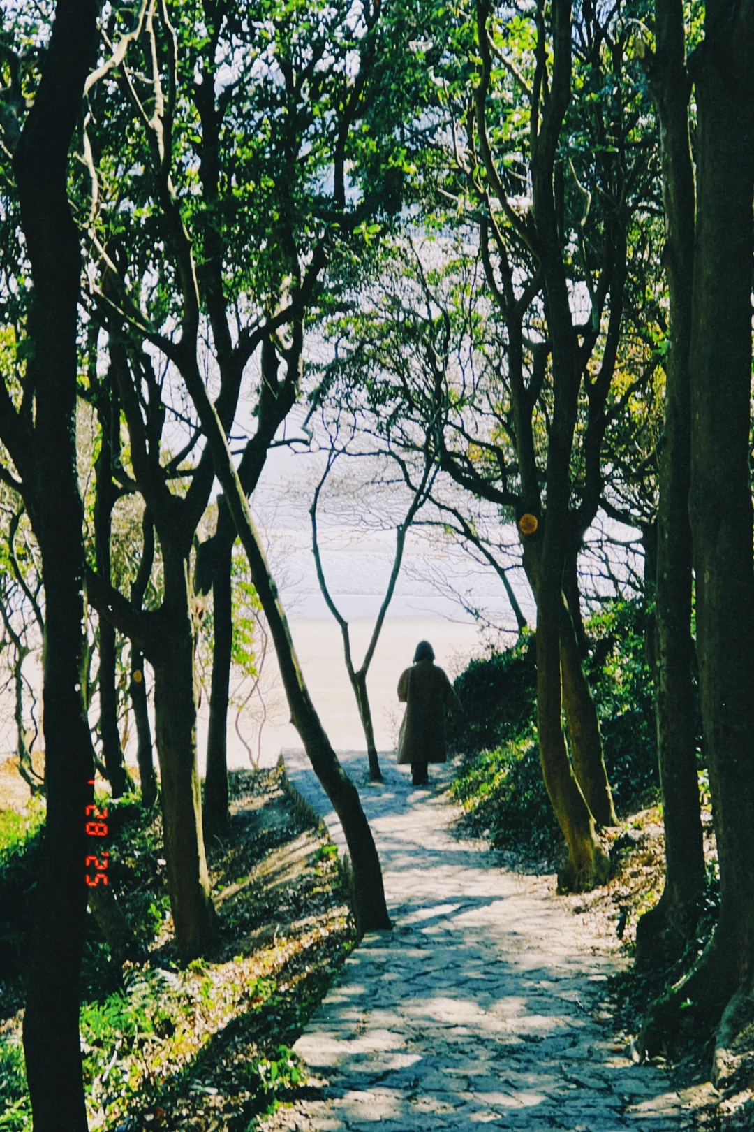 只要心情好，处处都是好风光之舟山大青山