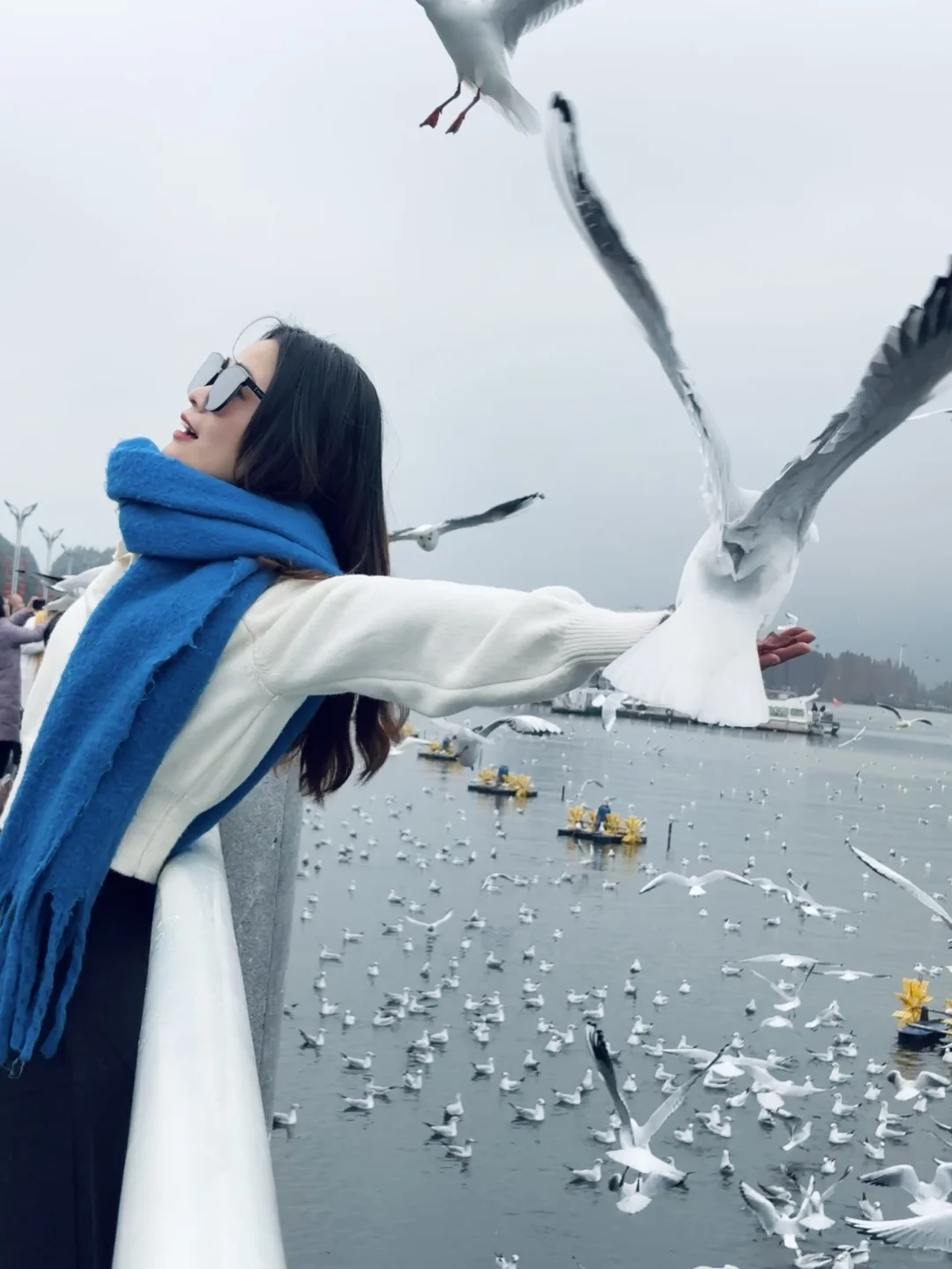 2025年的第一站，来赴约西伯利亚的海鸥💙