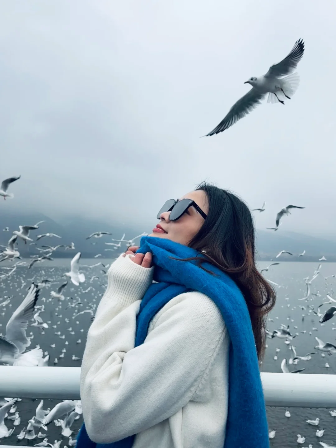 2025年的第一站，来赴约西伯利亚的海鸥💙