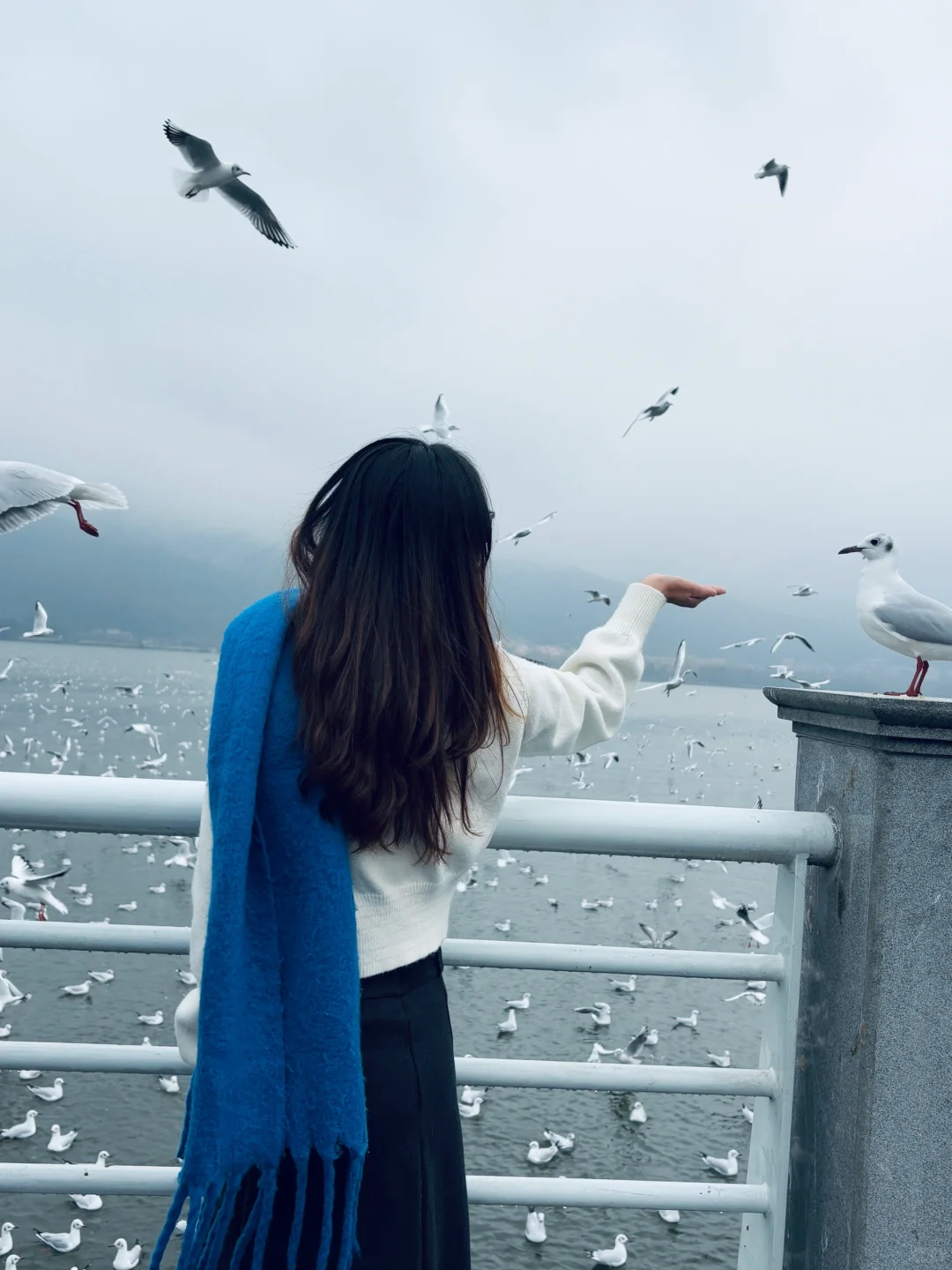 2025年的第一站，来赴约西伯利亚的海鸥💙