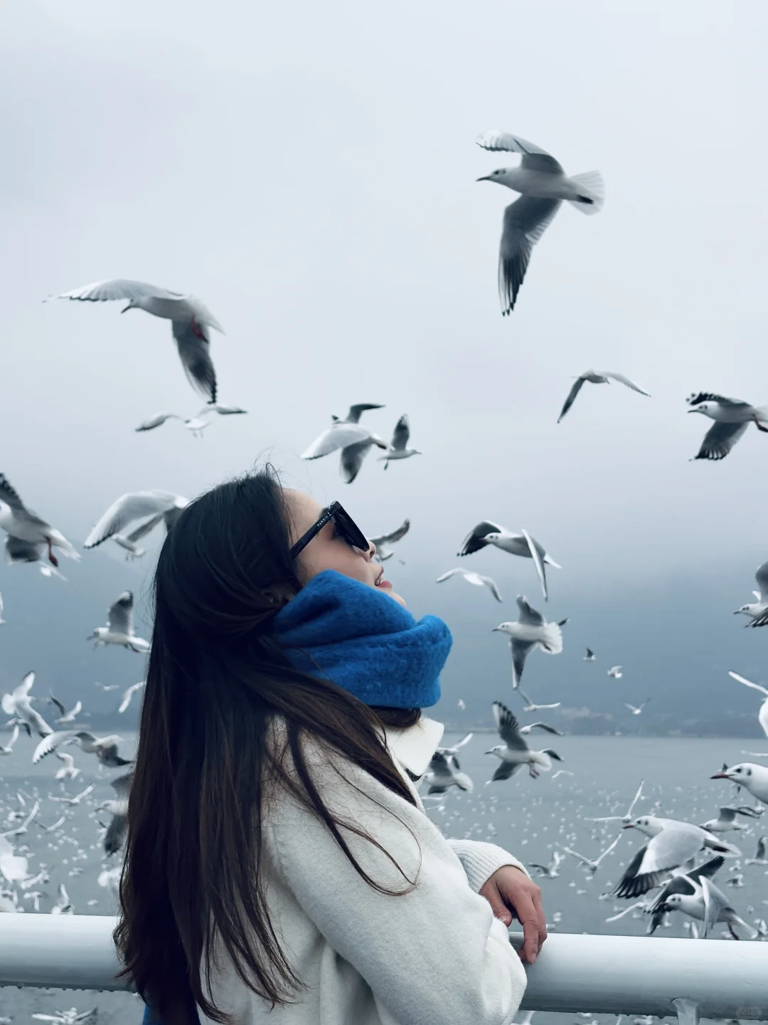 2025年的第一站，来赴约西伯利亚的海鸥💙