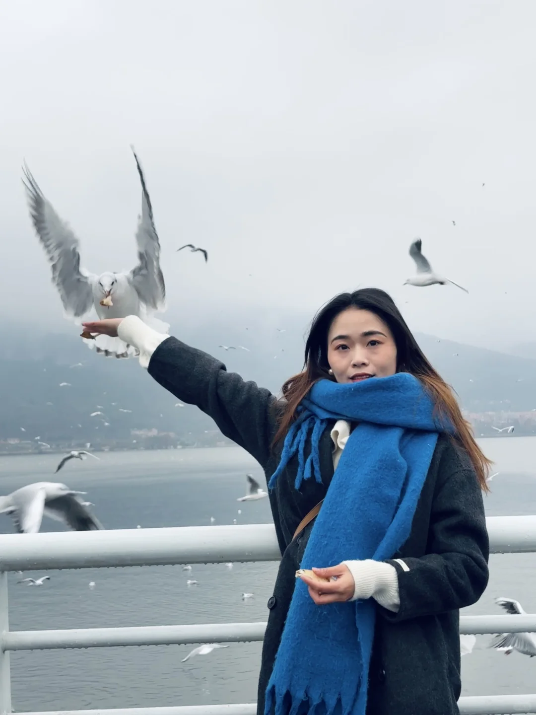 2025年的第一站，来赴约西伯利亚的海鸥💙