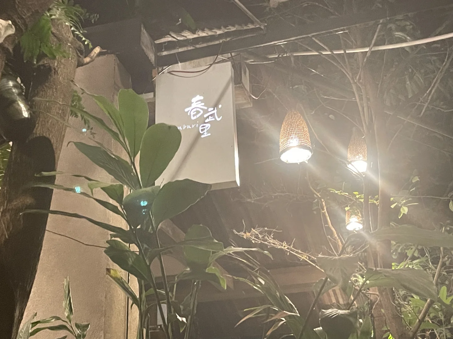 西双版纳🌴悠闲三日游攻略