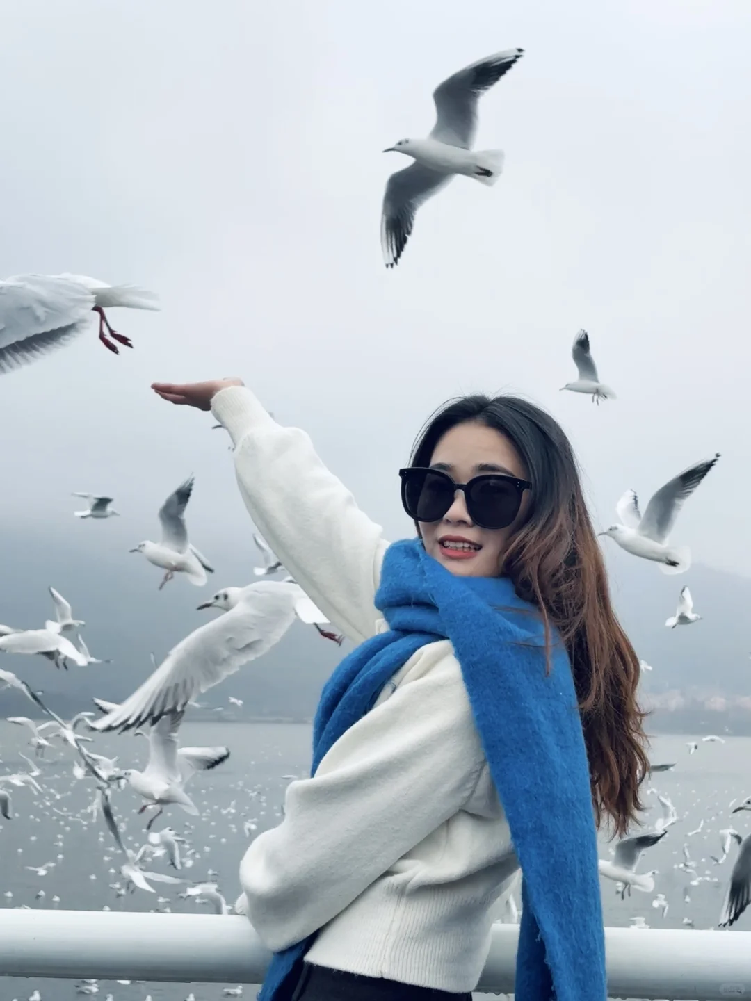 2025年的第一站，来赴约西伯利亚的海鸥💙