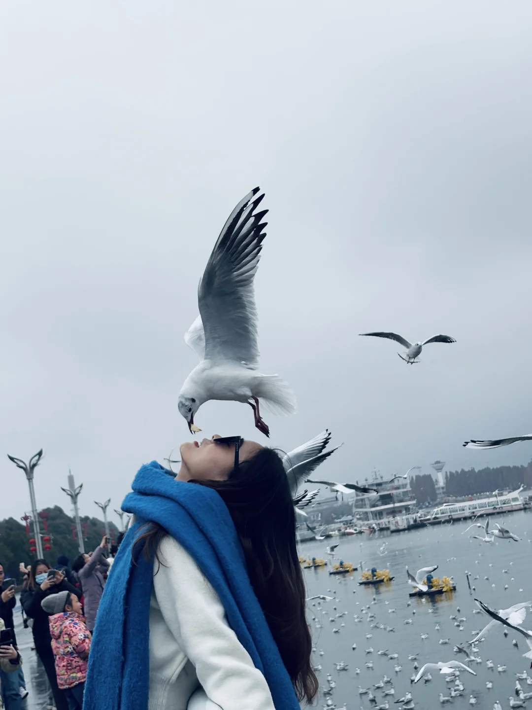 2025年的第一站，来赴约西伯利亚的海鸥💙