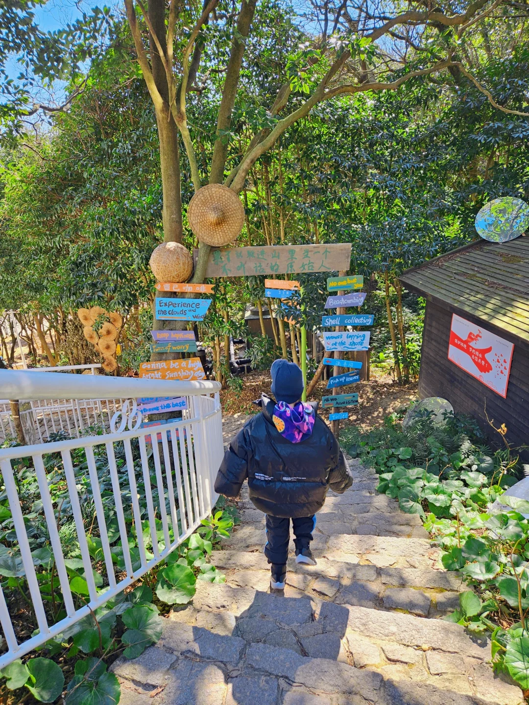 只要心情好，处处都是好风光之舟山大青山