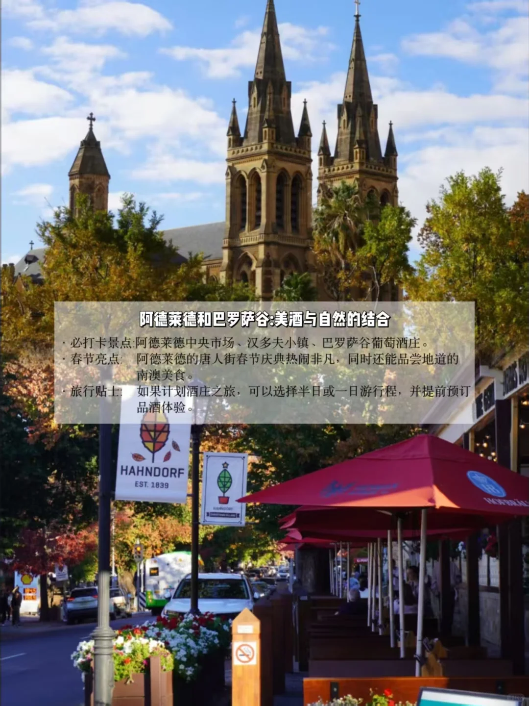 春节假期去哪玩？