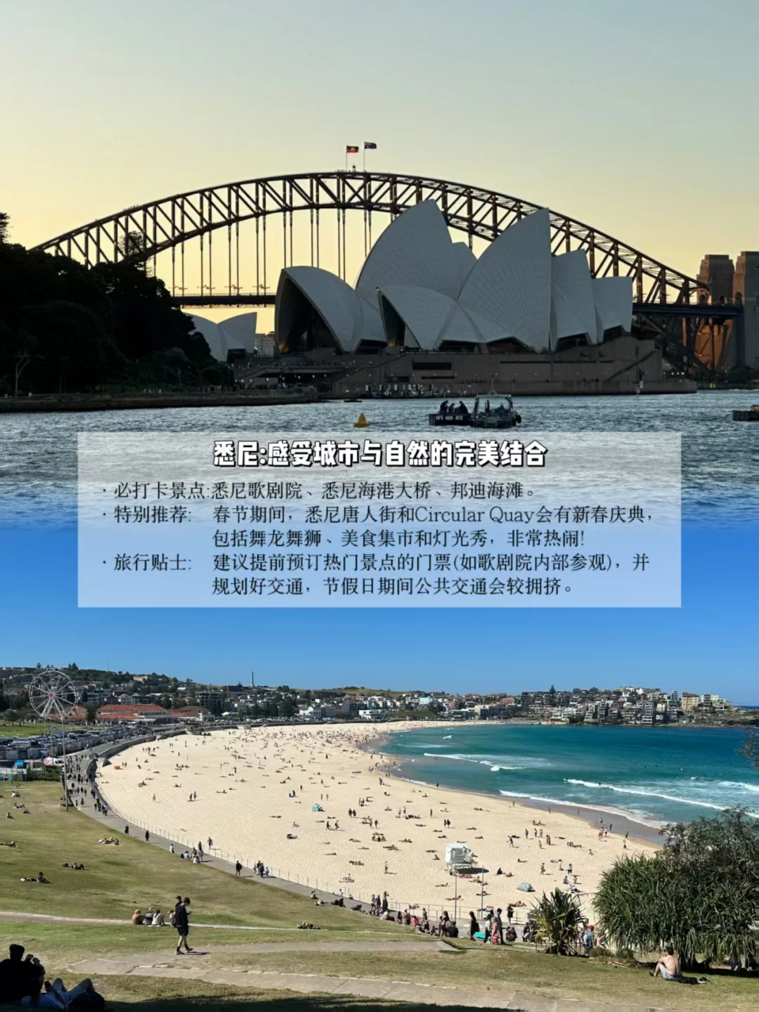 春节假期去哪玩？