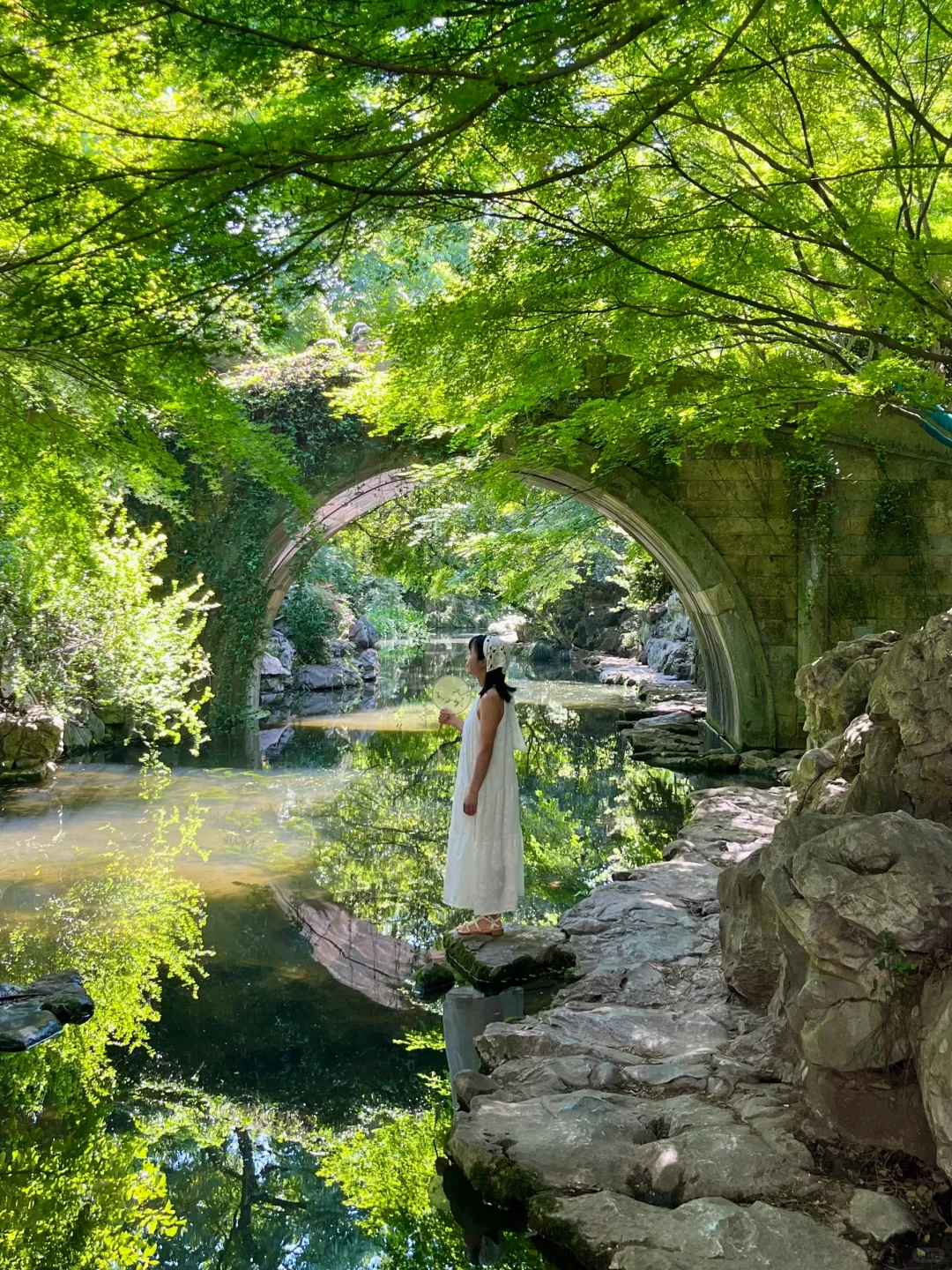 我的年度live图 这一年去过很多美丽的地方