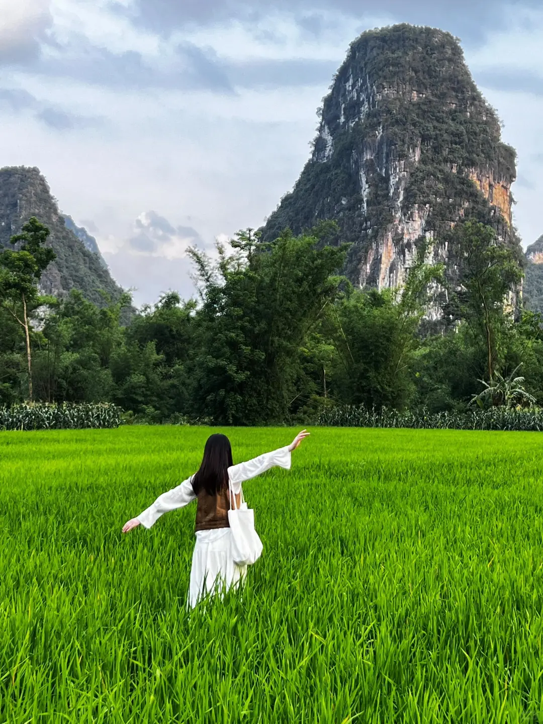 带娃避寒首选，广西崇左+北海+涠洲岛攻略！