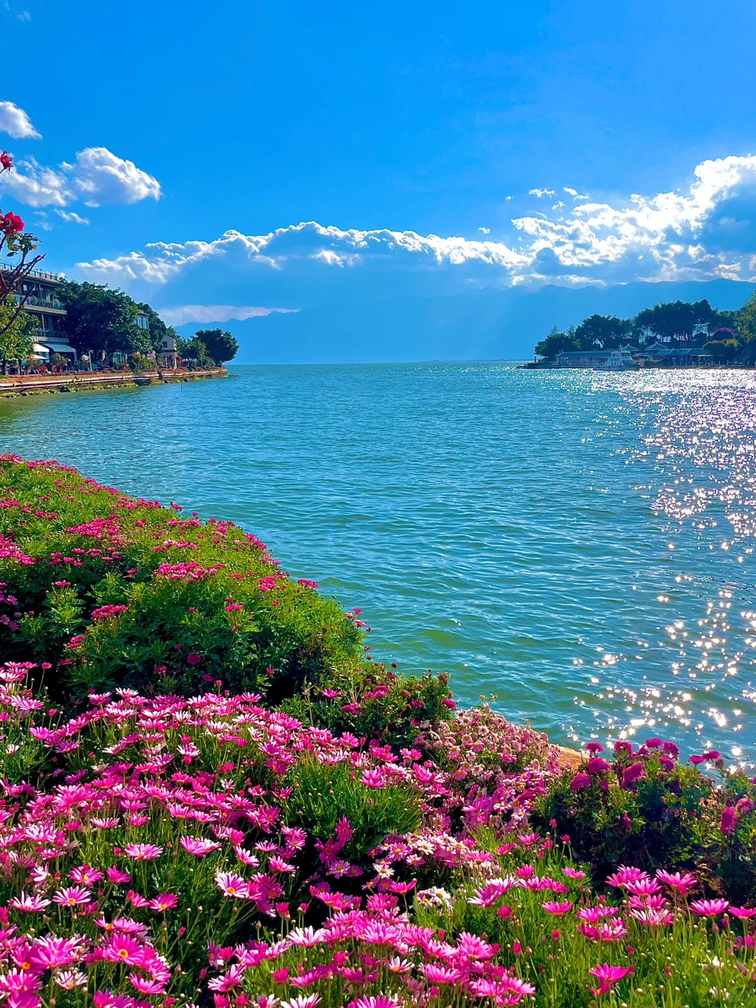 我的年度live图 这一年去过很多美丽的地方