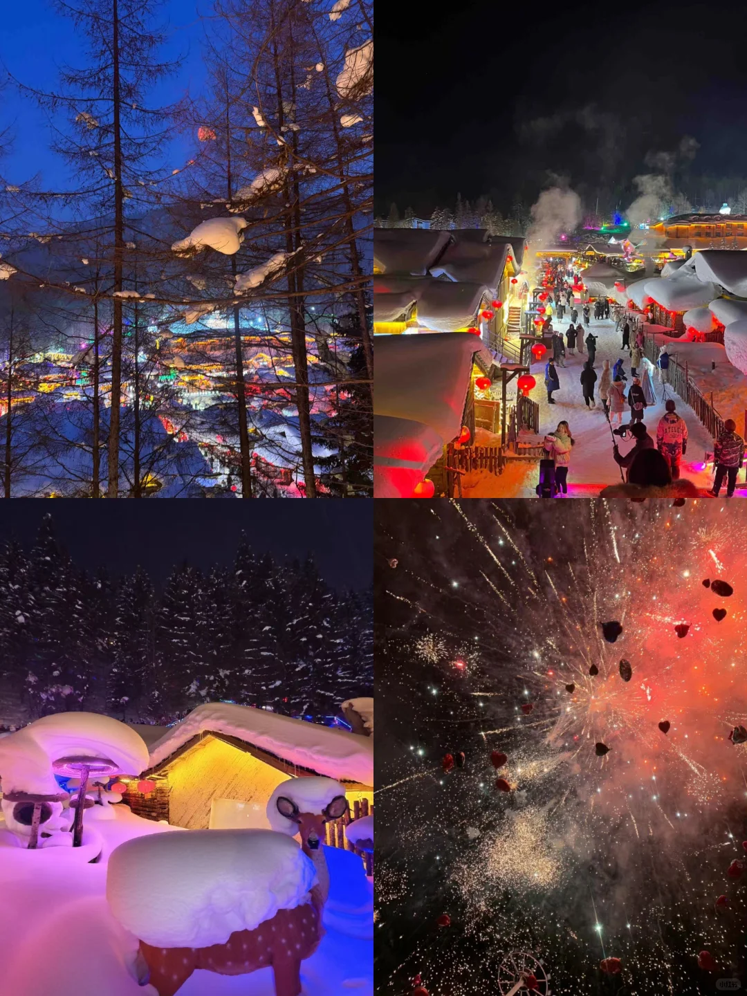 1.23📍哈尔滨已逃，崩溃了😭说点大实话