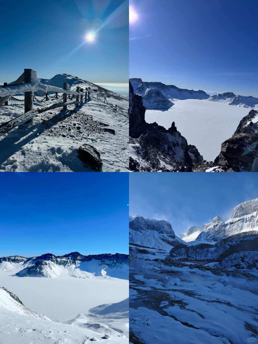 1.23📍哈尔滨已逃，崩溃了😭说点大实话