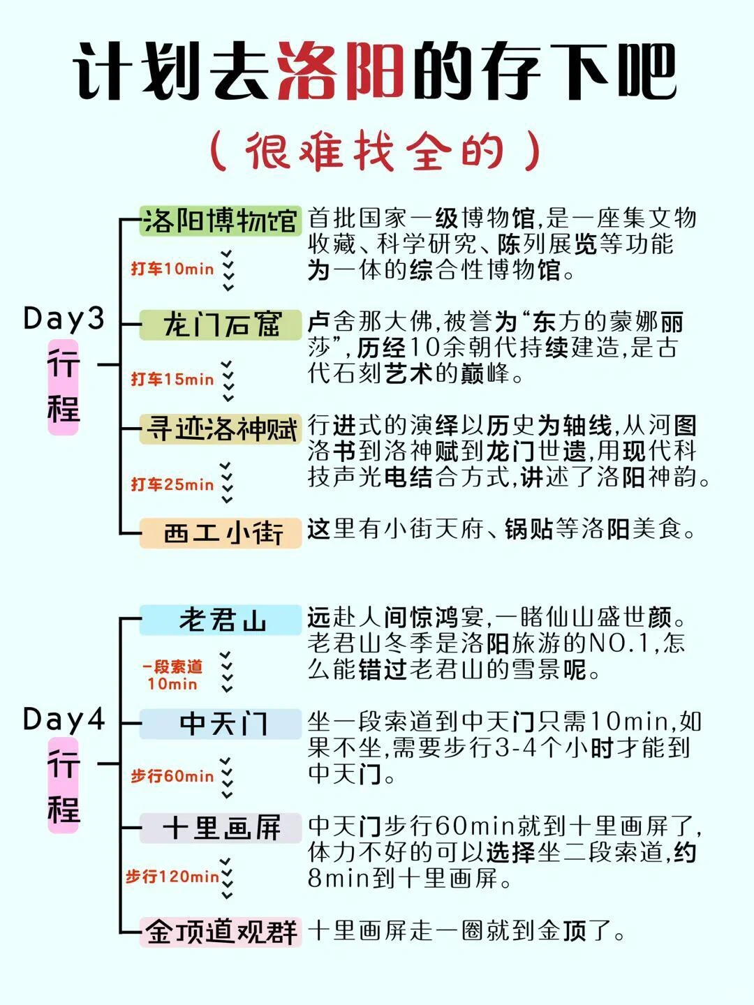 详细避坑攻略，送给1-2月去洛阳旅游的姐妹👭
