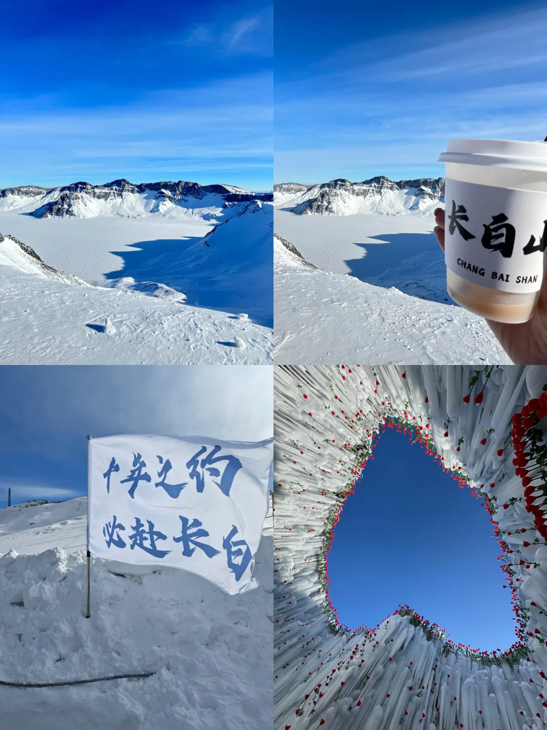 1.23📍哈尔滨已逃，崩溃了😭说点大实话