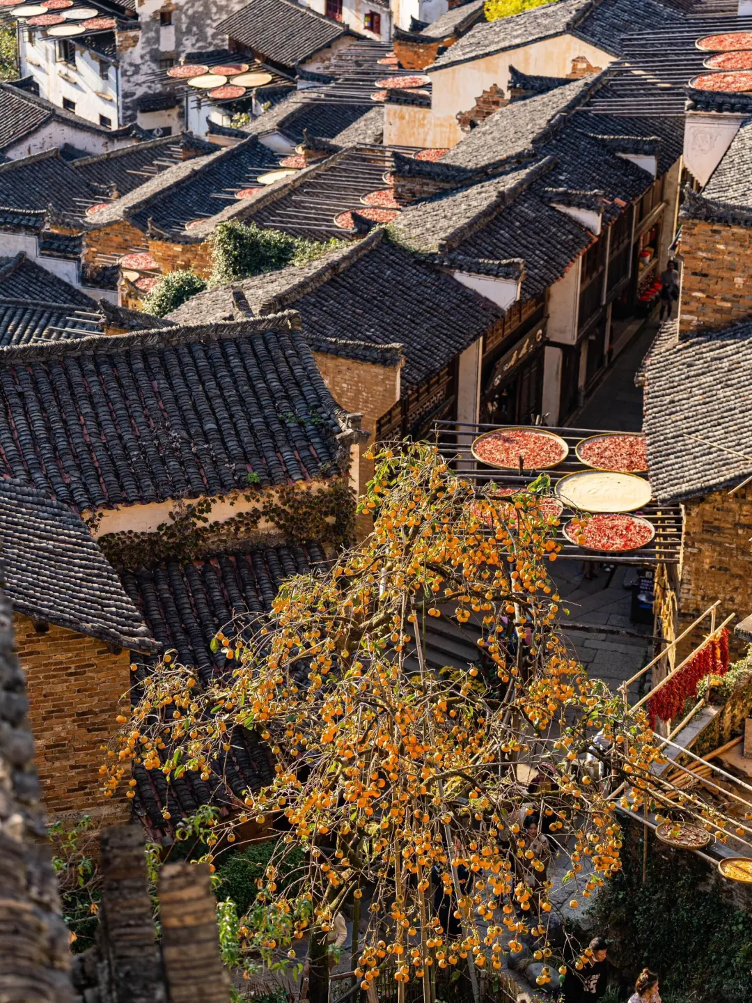 比起景德镇，我更爱这个国家地理推荐的小城