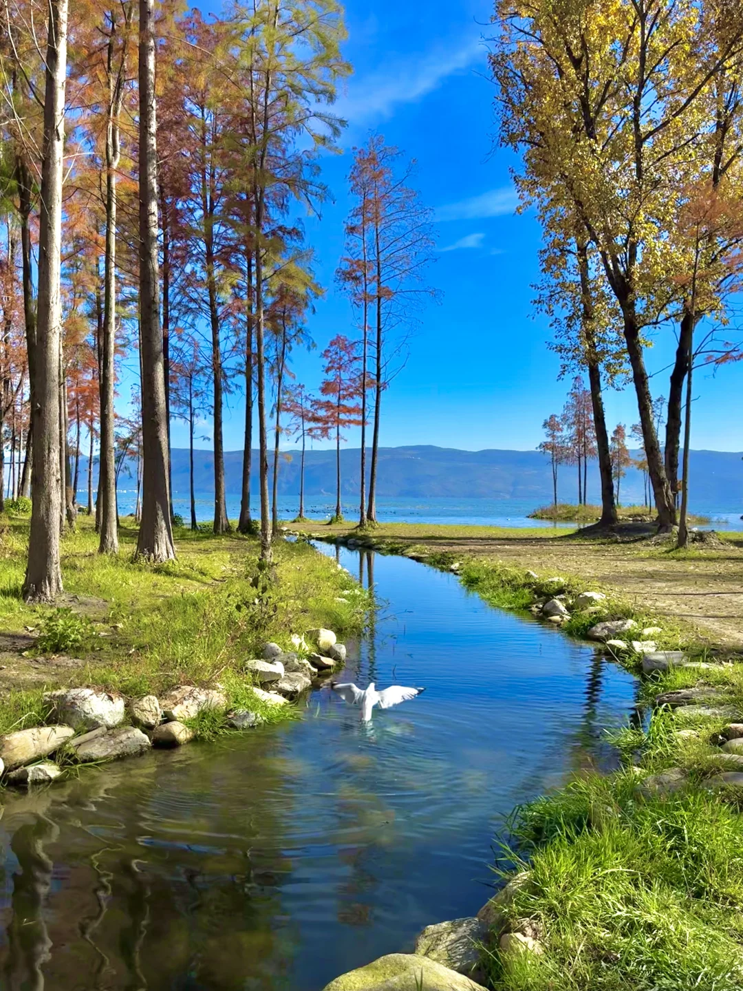 我的年度live图 这一年去过很多美丽的地方