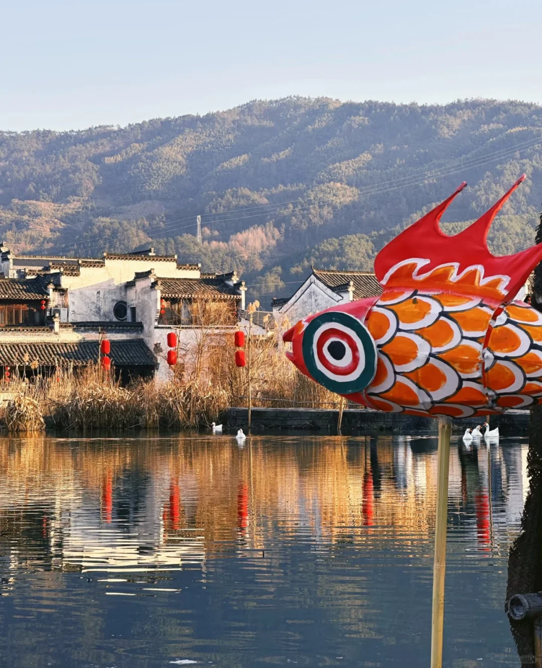 安徽三天两晚春节旅游攻略🏮