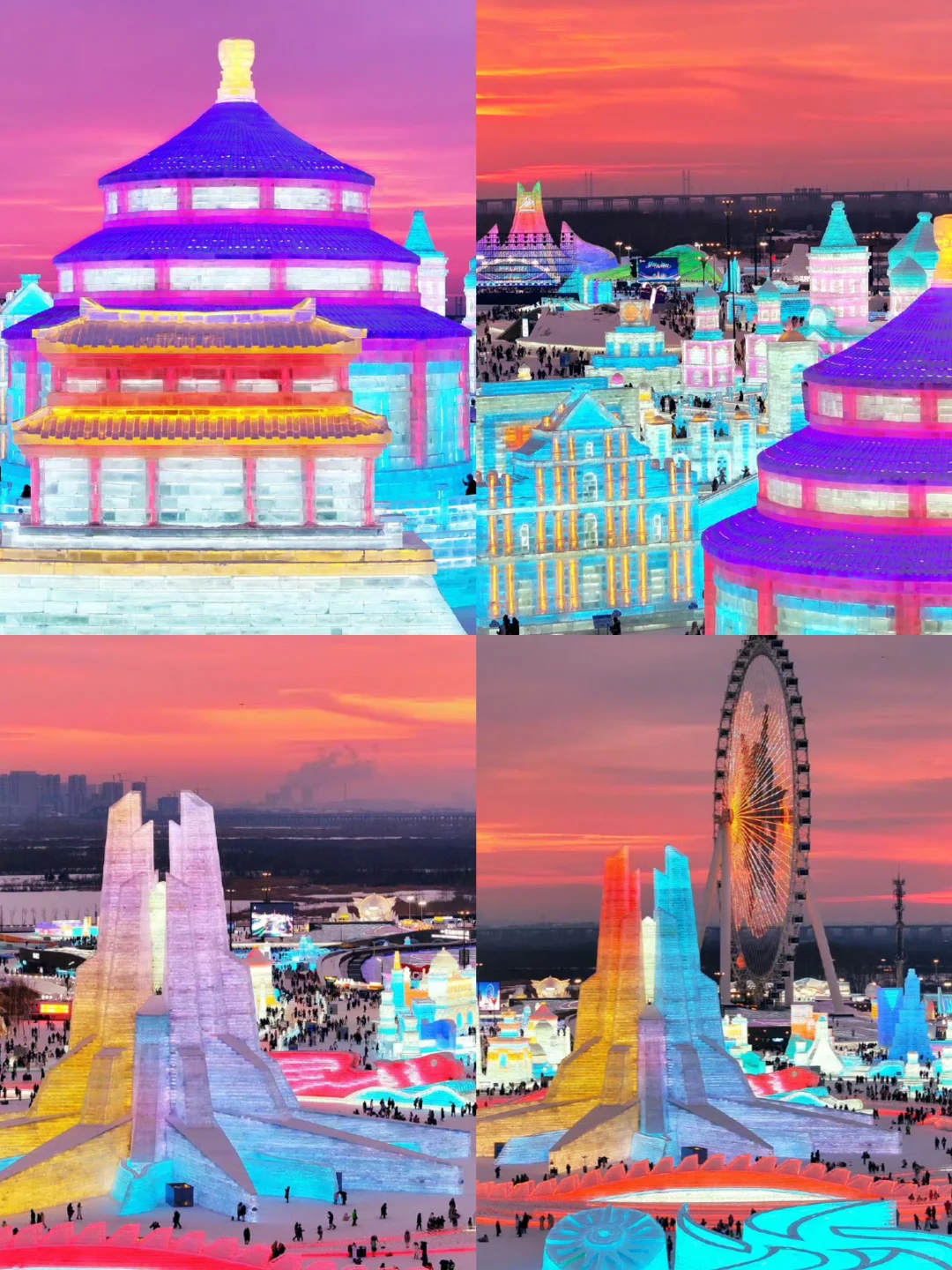 1.23📍哈尔滨已逃，崩溃了😭说点大实话