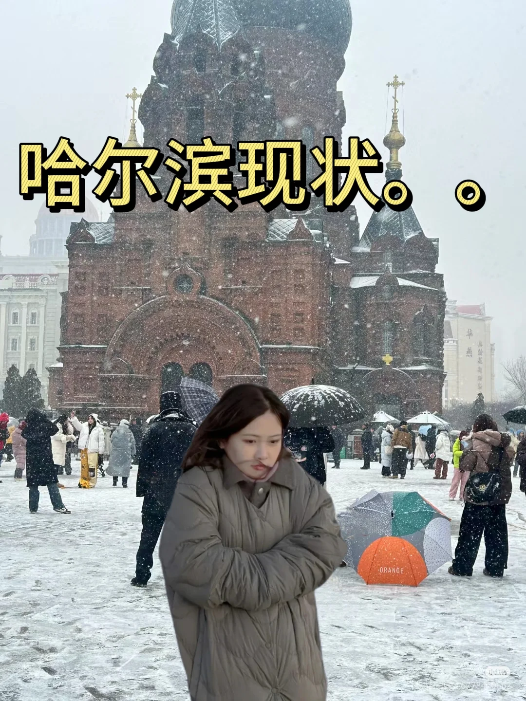 1.23📍哈尔滨已逃，崩溃了😭说点大实话