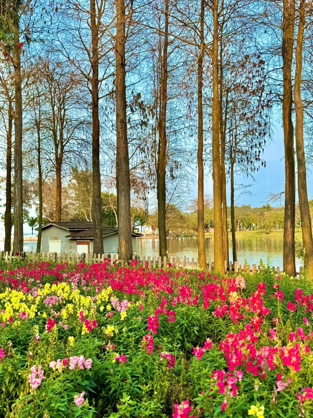 2025珠海春节旅游攻略！（本地人整理最新版）